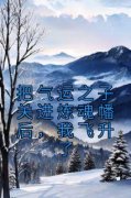 宁川楚枫林霜把气运之子关进炼魂