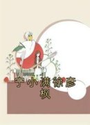 宁小满徐彦枫完整小说目录在线阅