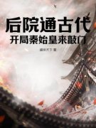 《江晨嬴政》小说章节列表在线试