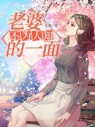 老婆不为人知的一面小说 于大明孙