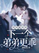 《庄颜沈意》小说章节精彩阅读 拜
