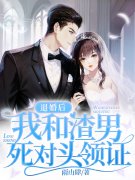已完结小说《嫁给前未婚夫死对头