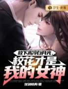 主角是苏辰沈雪的小说 《放下高冷