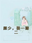 《顾少，娶一赠二》小说章节在线