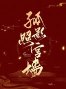 孤影照宫墙宋明月白辰精彩内容在