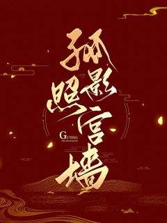 孤影照宫墙