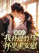 《苏禾顾屿》小说章节目录精彩试