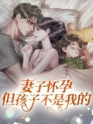 《妻子怀孕但孩子不是我的》小说