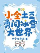 《小金土豆勇闯冰雪大世界》小说