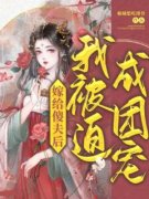 《孟送儿金子安》小说免费阅读 第