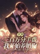 宋微微叶南泽免费阅读 拿到三百万