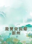 《段霄宋沅傅斯州》小说全文在线