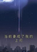 当前妻成了我的上司完整版小说在