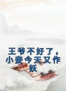 王爷不好了，小妾今天又作妖小说
