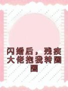 《闪婚后，残疾大佬抱我转圈圈》