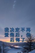 我决定不再爱他后，他后悔了唐婉