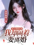 宋菀程逸风老公事业有成，我却闹