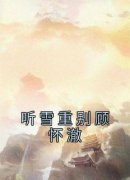 听雪重别顾怀澈》精彩章节列表在