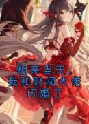 相亲当天，我和财阀大佬闪婚了主