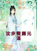 沈步微顾元湛小说全文在线阅读 沈