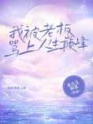 《苏微微老板》小说大结局免费阅