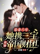 楚云歌陆霆霄追妻六年：她携三宝