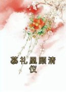 《慕礼凰顾清仪》小说全文在线阅