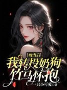 《被渣后，我转头恋上青梅》林观