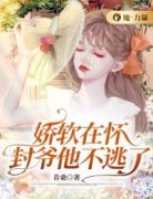 顾昭昭封执野顾昭昭封执野小说 娇