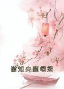 谢知央顾嵘笙全文目录 谢知央顾嵘