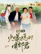 小说穿越八零：火爆媳妇俏郎君陈