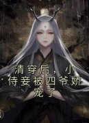 苏安安胤禛清穿后，小侍妾被四爷
