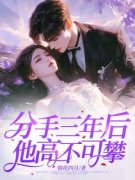 《宋清婉霍庭琛》全文在线试读 