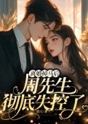 《顾如烟周庭樾》小说全文精彩试