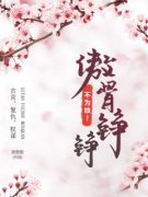 《谢晚沈南风》完结版免费阅读 《