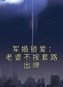 《军婚锁爱：老婆不按套路出牌》