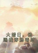 槿鸢宇文澈小说阅读 第四章