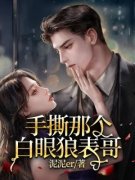 安晚晚安子呈小说 安晚晚安子呈手