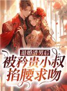 《沈鸢薄擎》小说完结版免费试读