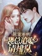 《姜未染裴赟则》前妻难哄，裴总