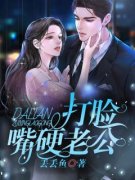 《打脸嘴硬老公》小说章节目录在
