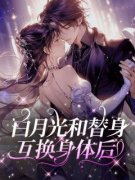 林枝沈淮序小说全文免费阅读 白月