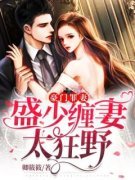 《豪门罪妻：盛少缠妻太狂野》叶