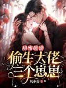 《甜蜜暖婚：偷生大佬三个崽崽》