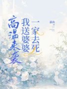 沈苒文慧小说全集免费在线阅读（