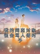 《我的网恋对象很会骂人傅时予》