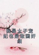 我是太子宠妃也是敌国奸细(主角沈
