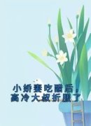 【都市爽文】向晚叶勉之小娇妻吃
