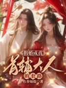 假婚成真：首辅大人的套路小说 苏