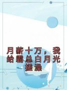 【都市爽文】岳蓝杉乔霍月薪十万